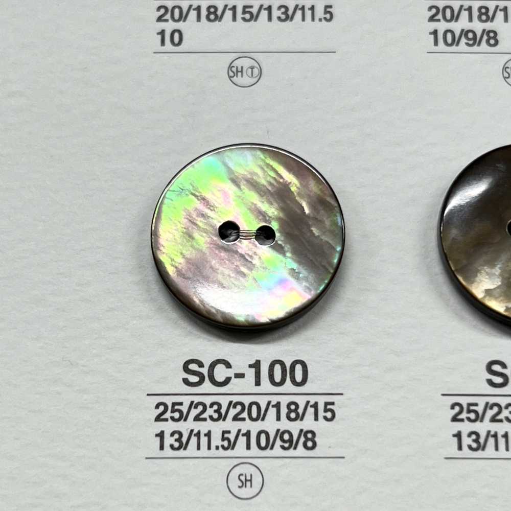 SC100 Natural Material Shell 2 Holes Glossy Button IRIS
