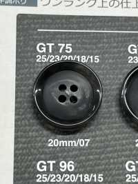 GT75 Buffalo-like Button IRIS Sub Photo