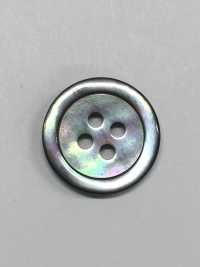 SB17 Shell Button- Mother Of Pearl Shell- IRIS Sub Photo