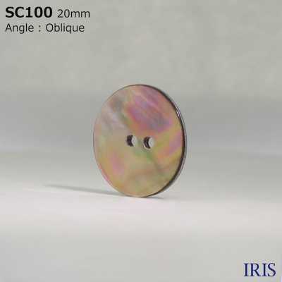 SC100 Natural Material Shell 2 Holes Glossy Button IRIS Sub Photo