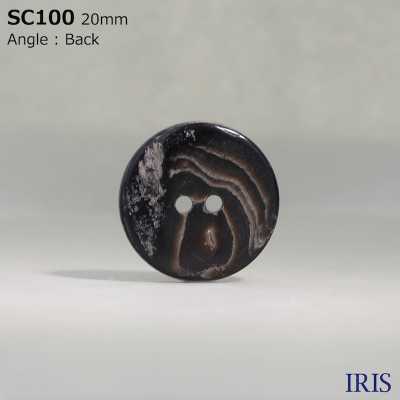 SC100 Natural Material Shell 2 Holes Glossy Button IRIS Sub Photo