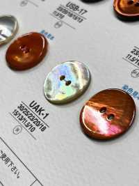 UAK1 Natural Material Shell Dyed Front Hole 2 Holes Glossy Button IRIS Sub Photo