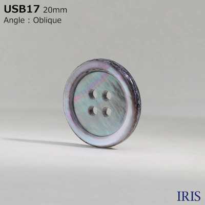 USB17 Natural Material Dyeing Mother Of Pearl Shell 4 Front Holes Glossy Button IRIS Sub Photo