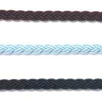 116-69 DCI Polyester Braid[Ribbon Tape Cord] DARIN Sub Photo