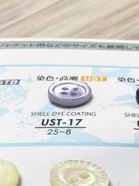 UST-17 Natural Material Shell Shell Shell 4-hole Shell Button IRIS Sub Photo