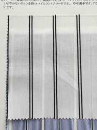 35460 Ivy Broadcloth(Coolmax® Eco Made Fabric) [Stripes][Textile / Fabric] SUNWELL Sub Photo