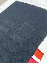 11650 40/ Jersey[Textile / Fabric] SUNWELL Sub Photo