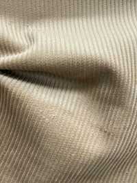 13456 8W Corduroy[Textile / Fabric] SUNWELL Sub Photo