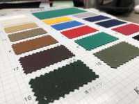6000 Fuji Kinume Cotton Canvas No. 6 Silket / Resin Processing[Textile / Fabric] Fuji Gold Plum Sub Photo