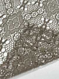 KKF5515-D/12 Stretch Lace[Textile / Fabric] Uni Textile Sub Photo