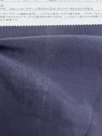 13293 Tencel (TM) Modal Fiber / Polyester Powder Chiffon[Textile / Fabric] SUNWELL Sub Photo