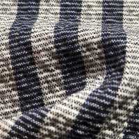 3-2538LONDON STRIPE SUBALPINO Shear Seersucker London Stripe[Textile / Fabric] Takisada Nagoya Sub Photo