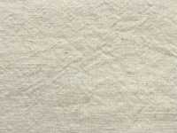 TL2525BG 1/25 Linen BIGGIE Processing[Textile / Fabric] SHIBAYA Sub Photo