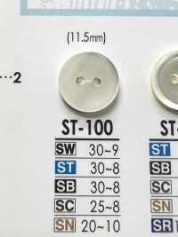 ST100 Main Shell Button- Shell IRIS Sub Photo