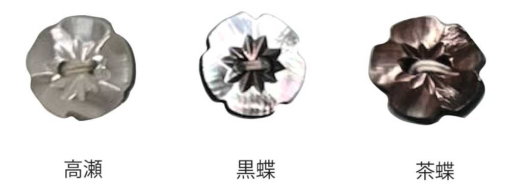 500 2-hole Plum Blossom Shell Button Tomoi