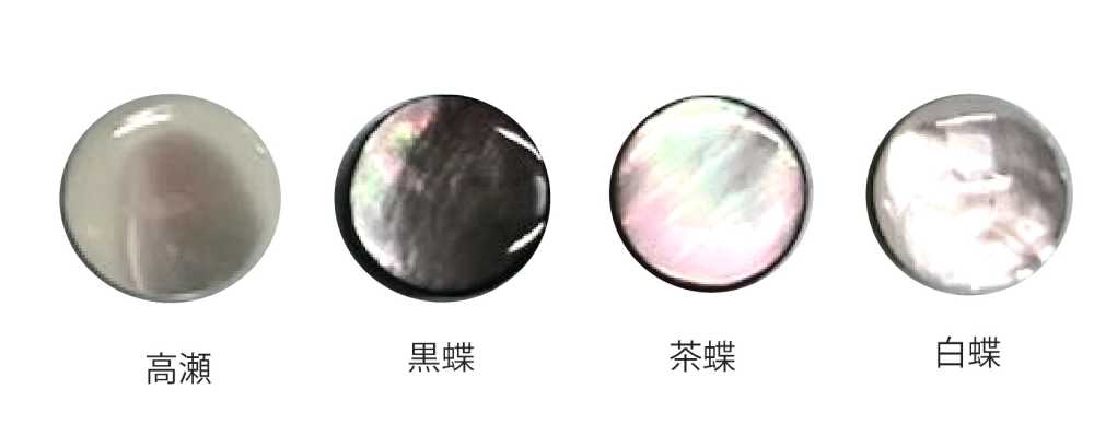601P Poly Shell Button Tomoi