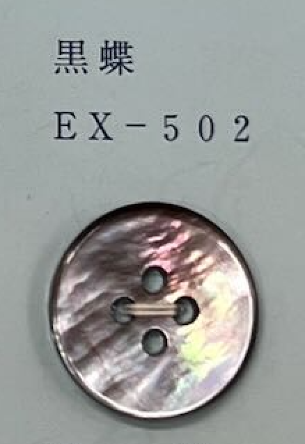 EX502 2 Holes, Shell Button With Edges Tomoi