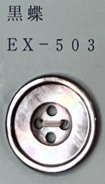 EX503 4-hole, Bordered, Shell Button Tomoi