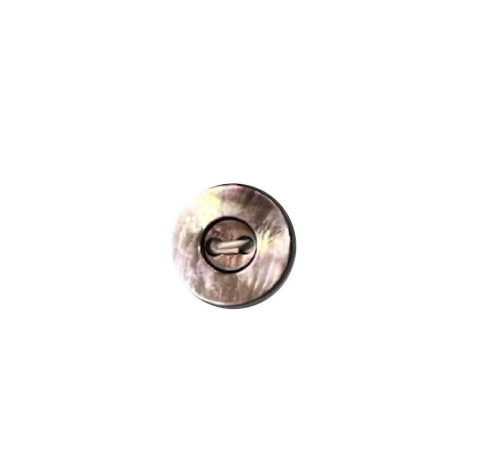 EX527 2 Holes, Bordered, Mother Of Pearl Shell Button Tomoi