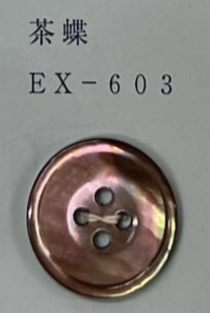 EX603 4 Holes With Rim, Shell Button Tomoi