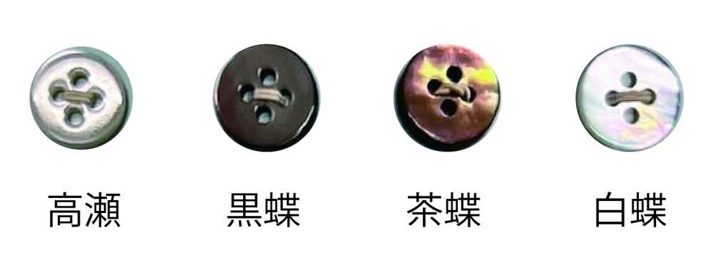 1004H 100 Type 4-hole Button Tomoi