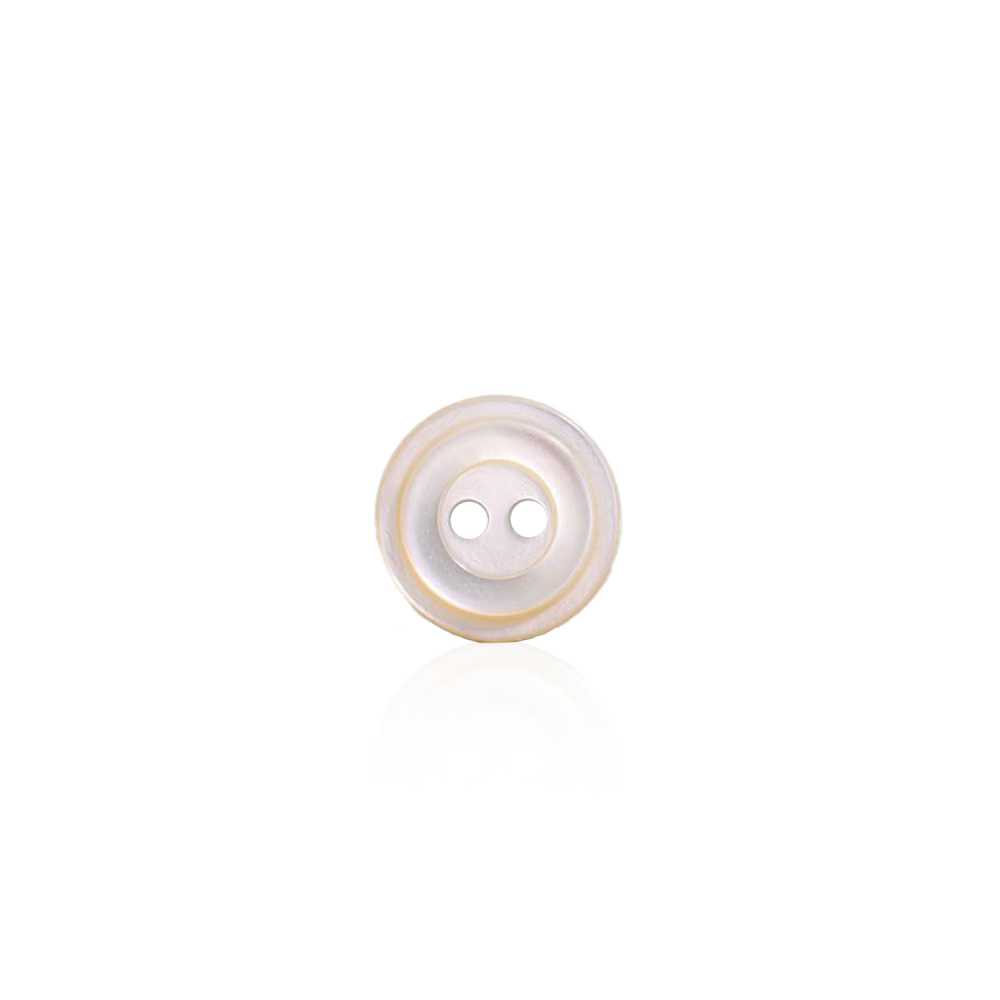 SN70 Two-hole Button Made Of Takase Shell IRIS