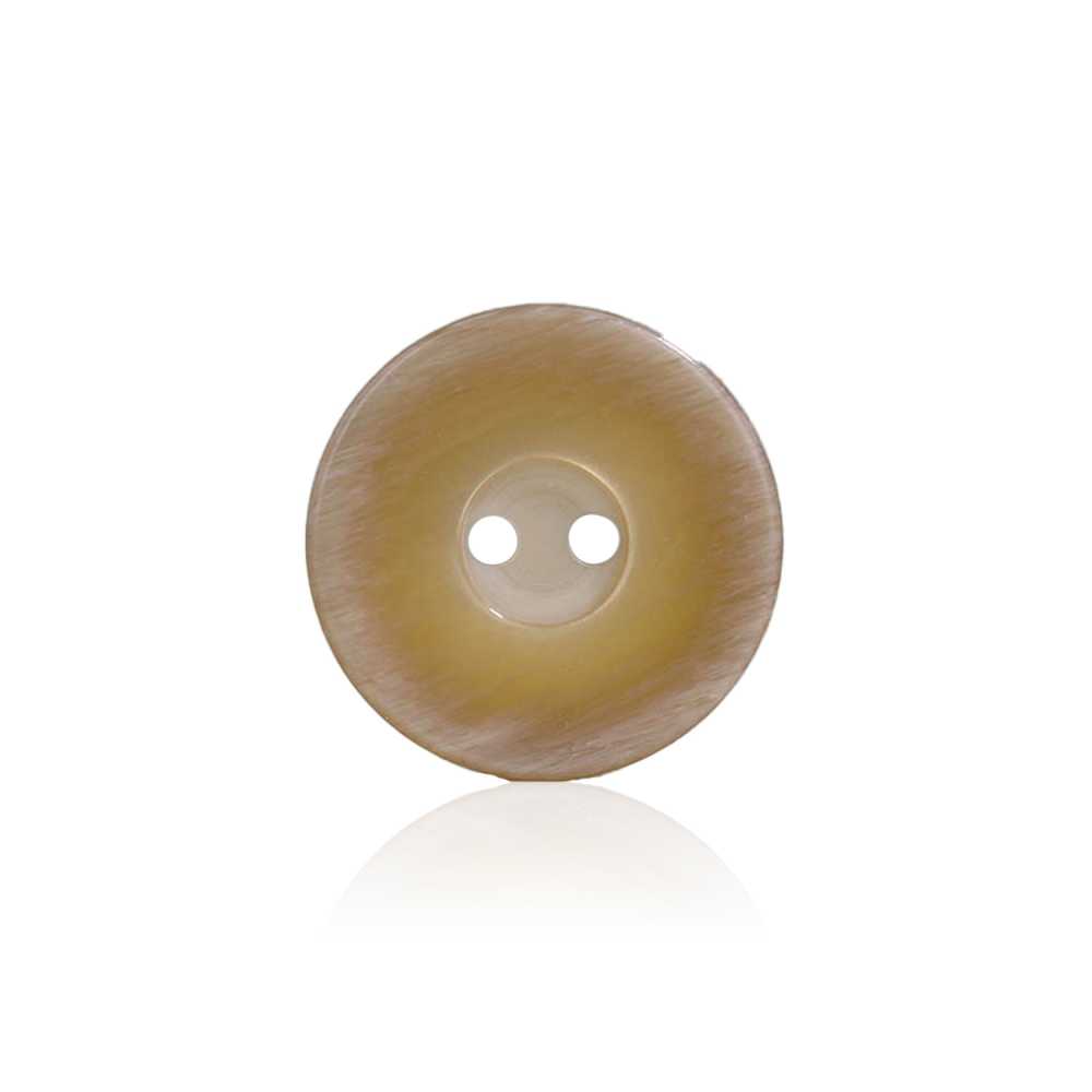 SS1043 Polyester Resin Two-hole Button IRIS