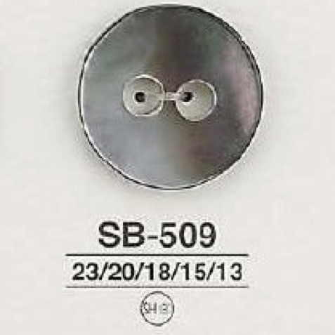 SB509 Mother Of Pearl Shell 2-hole Button IRIS