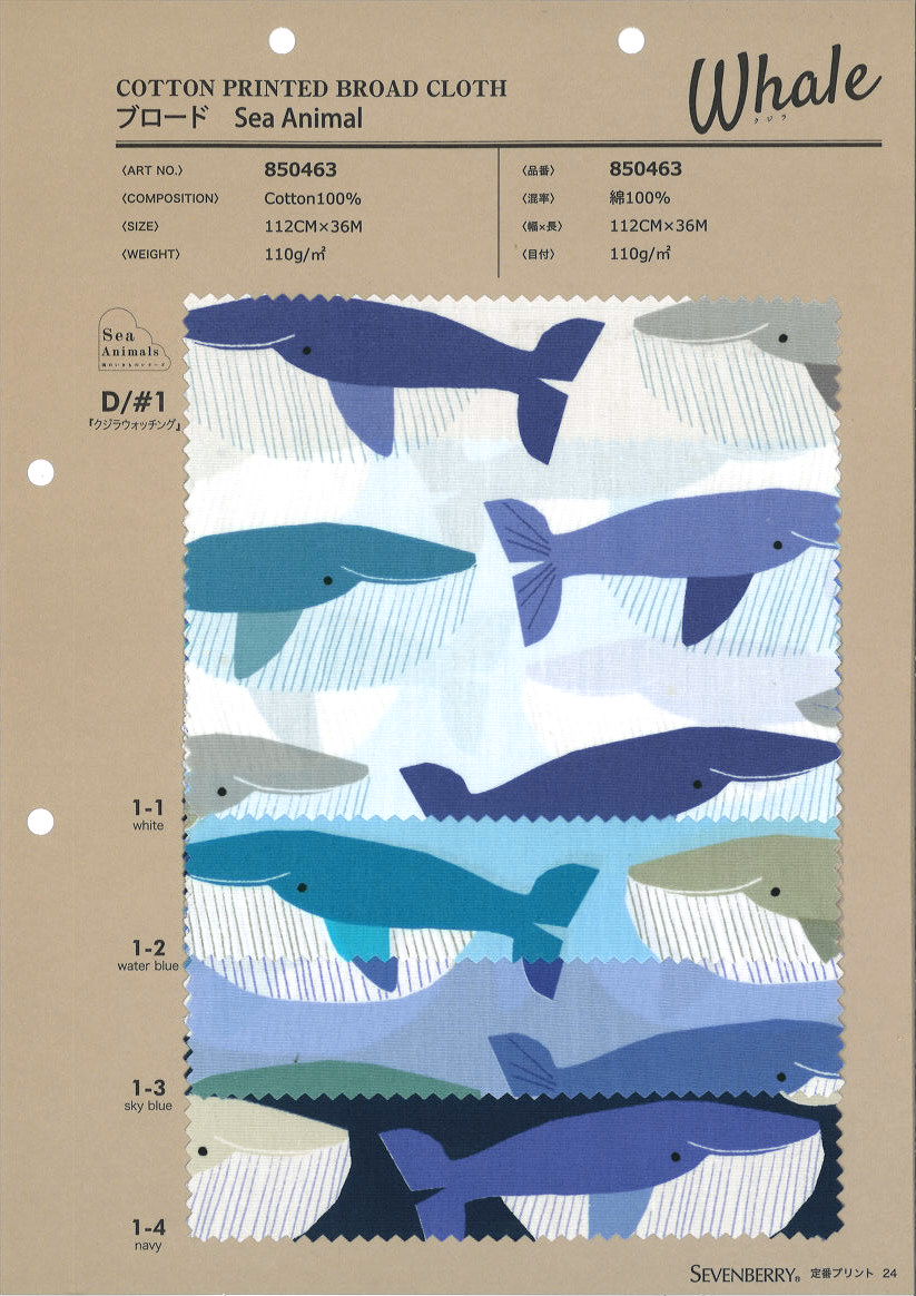 850463 SEVENBERRY® Broadcloth Sea Animals Whale Watching[Textile / Fabric] VANCET