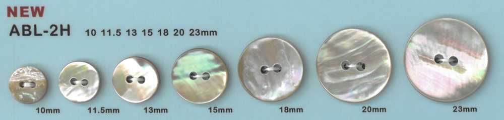 ABL2H 2- Shell Abalone Shell Button DAIYA BUTTON(DAIYA BUTTON)