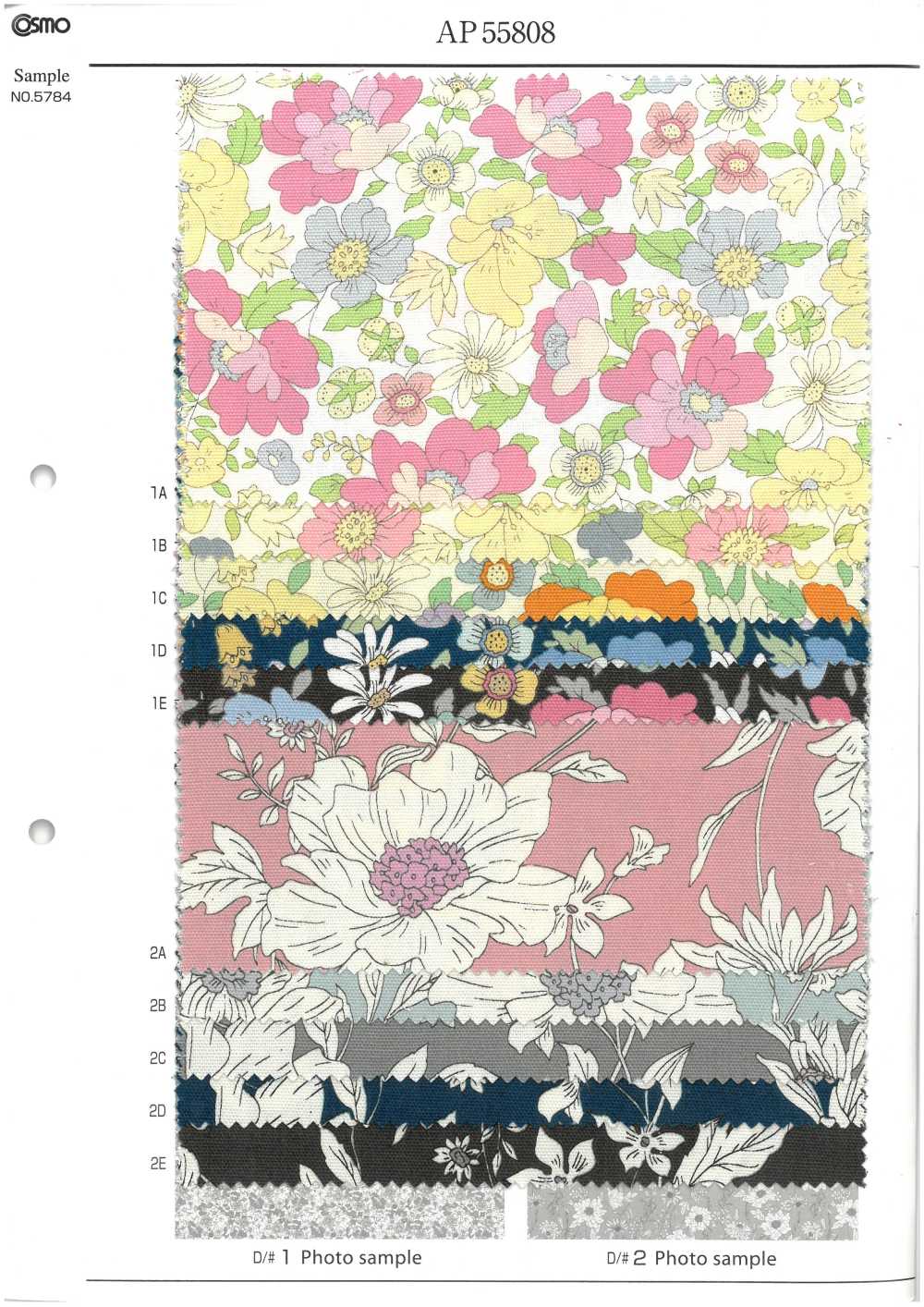 AP55808-DR Essential Grace 2 Oxford(Half-fold)[Textile / Fabric] COSMO TEXTILE