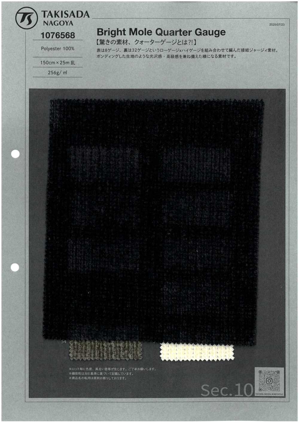 1076568 Bright Mole Quarter Gauge[Textile / Fabric] TAKISADA NAGOYA