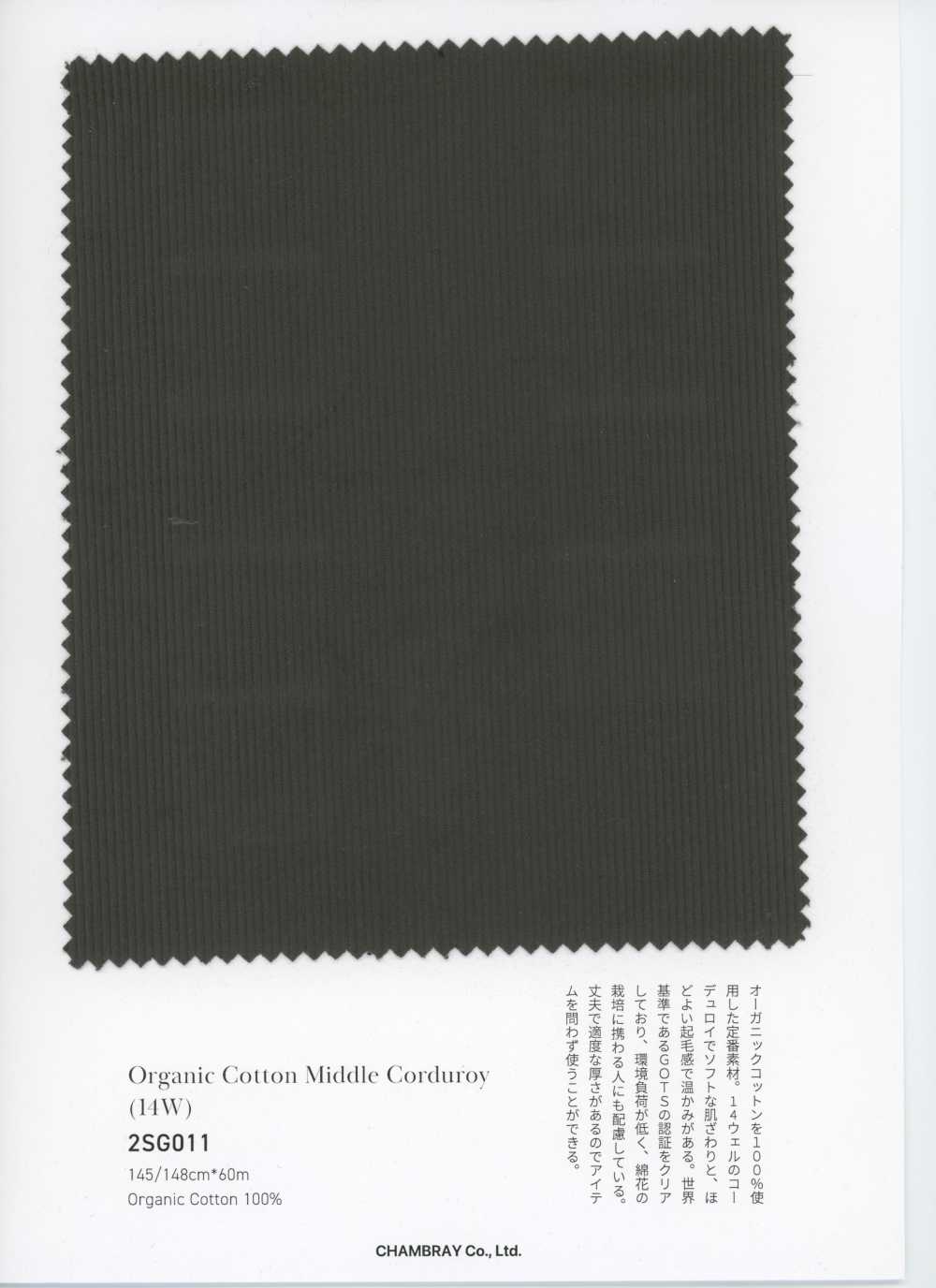 2SG011 Organic Cotton Medium-Wale Corduroy (14W)[Textile / Fabric] Chambray