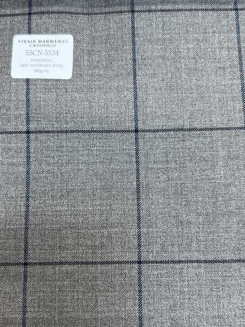 55CN5534 CANONICO PERENNIAL SUPER110'S Beige Windowpane[Textile] CANONICO