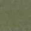 Pale Khaki