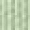 Mint Green Mint Green