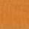 Pumpkin Pumpkin