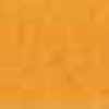 Marigold Marigold