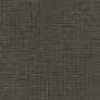 Olive Brown Olive Brown