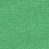Lime Green Lime Green