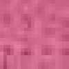 Cherry Pink Cherry Pink