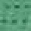 Parrot Green Parrot Green