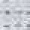 Snow Gray Snow Gray