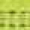 Neon Green Neon Green