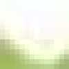 Apple Green Apple Green