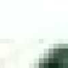 Forest Green Forest Green