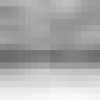 Gray Gray