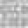 Snow Gray Snow Gray
