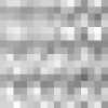 Light Gray Light Gray