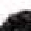 Black Black